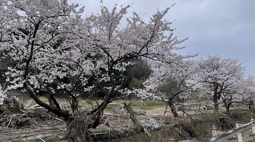 【能登半島地震 災害支援・対策（iER）】4月おしゃべり喫茶開催 in 門前町・能登町 活動レポート②