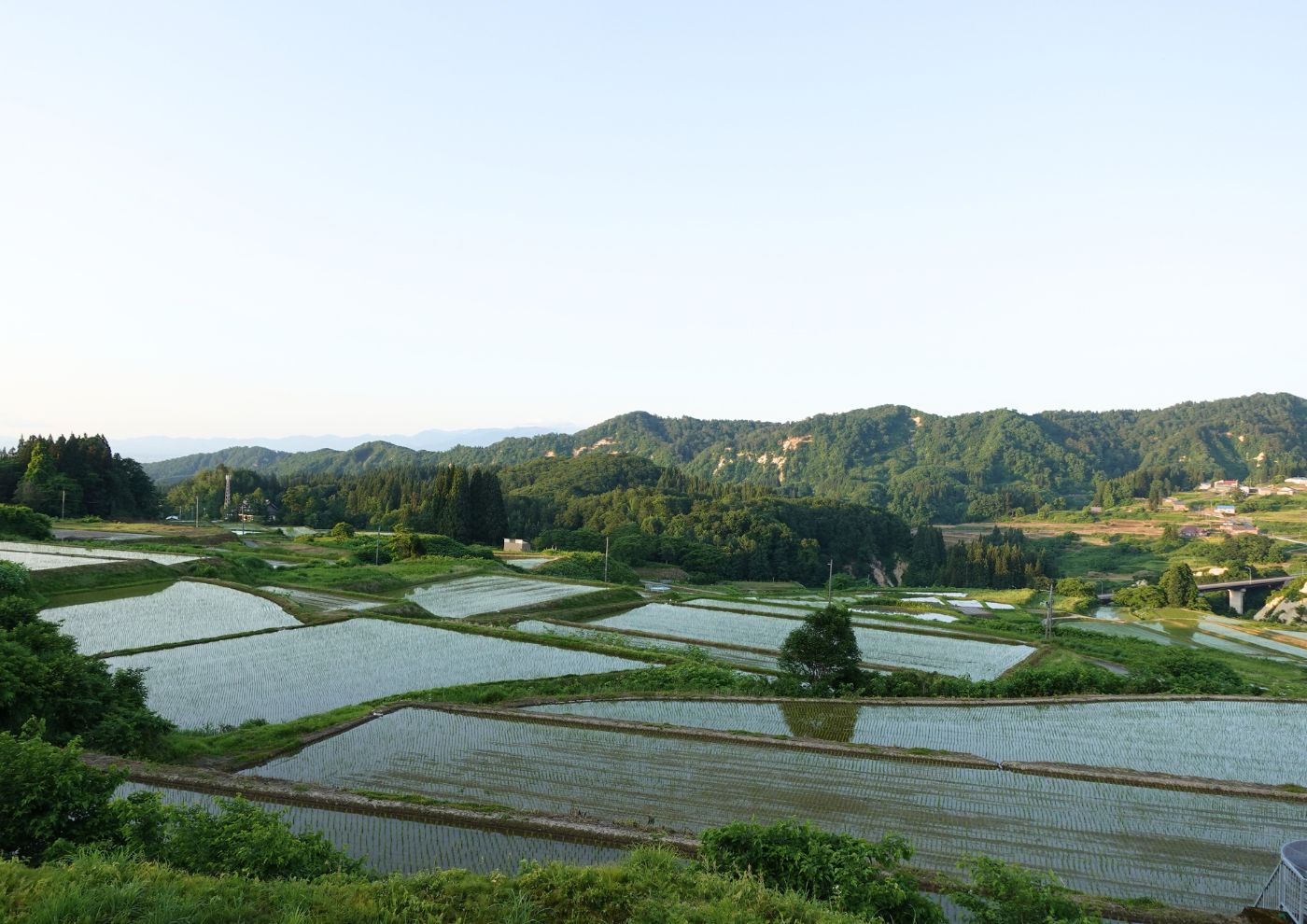 ～初東北での４か月～