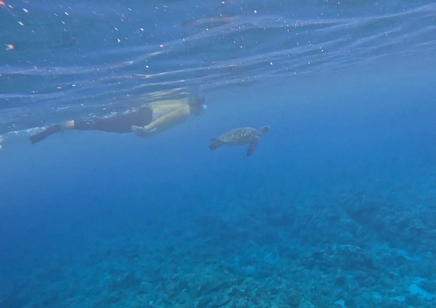 離島で磨かれた直感力と看護の力 ―沖永良部島での半年間
