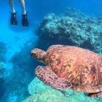 離島で磨かれた直感力と看護の力 ―沖永良部島