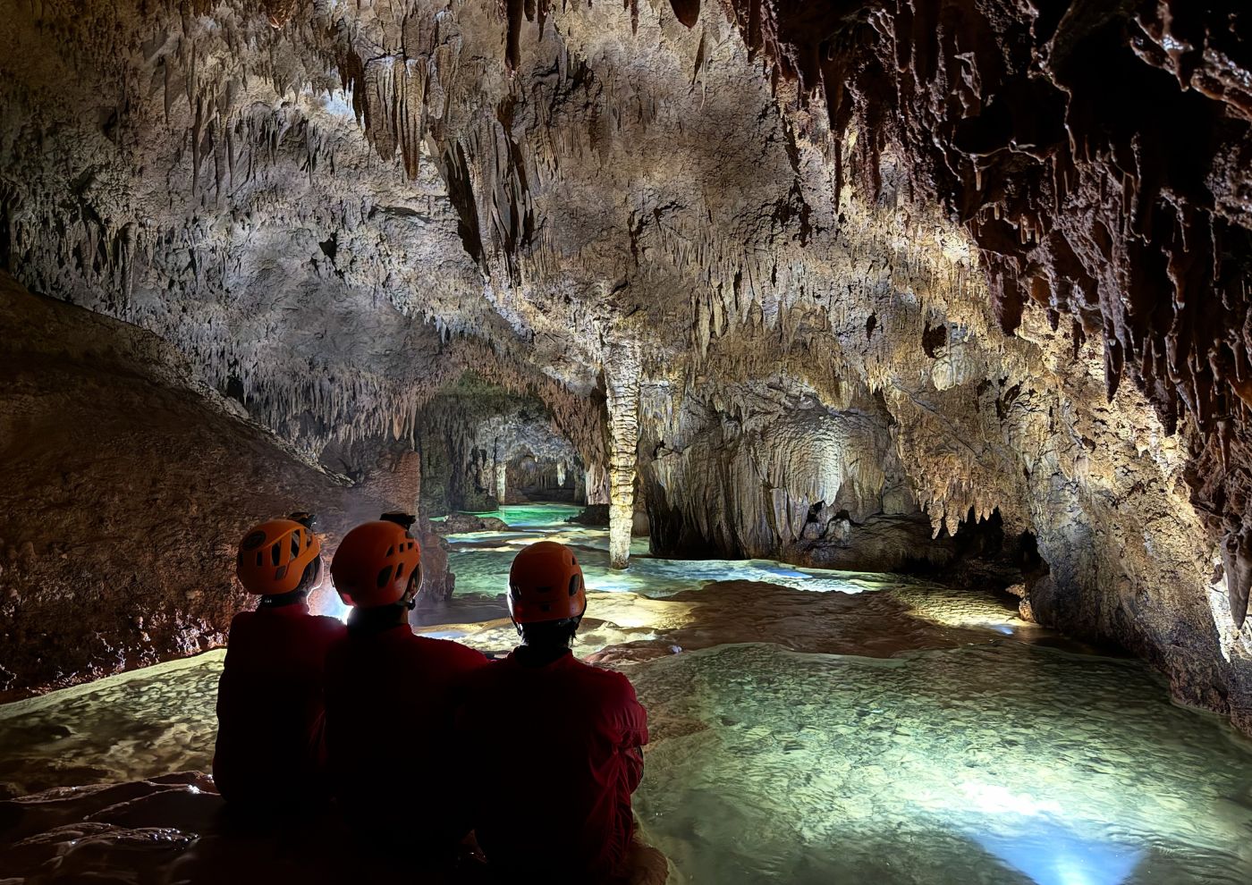 離島で磨かれた直感力と看護の力 ―沖永良部島での半年間