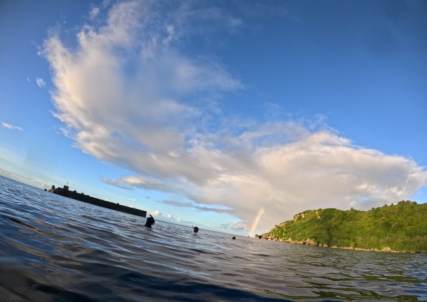 島での学び、経験、出会い