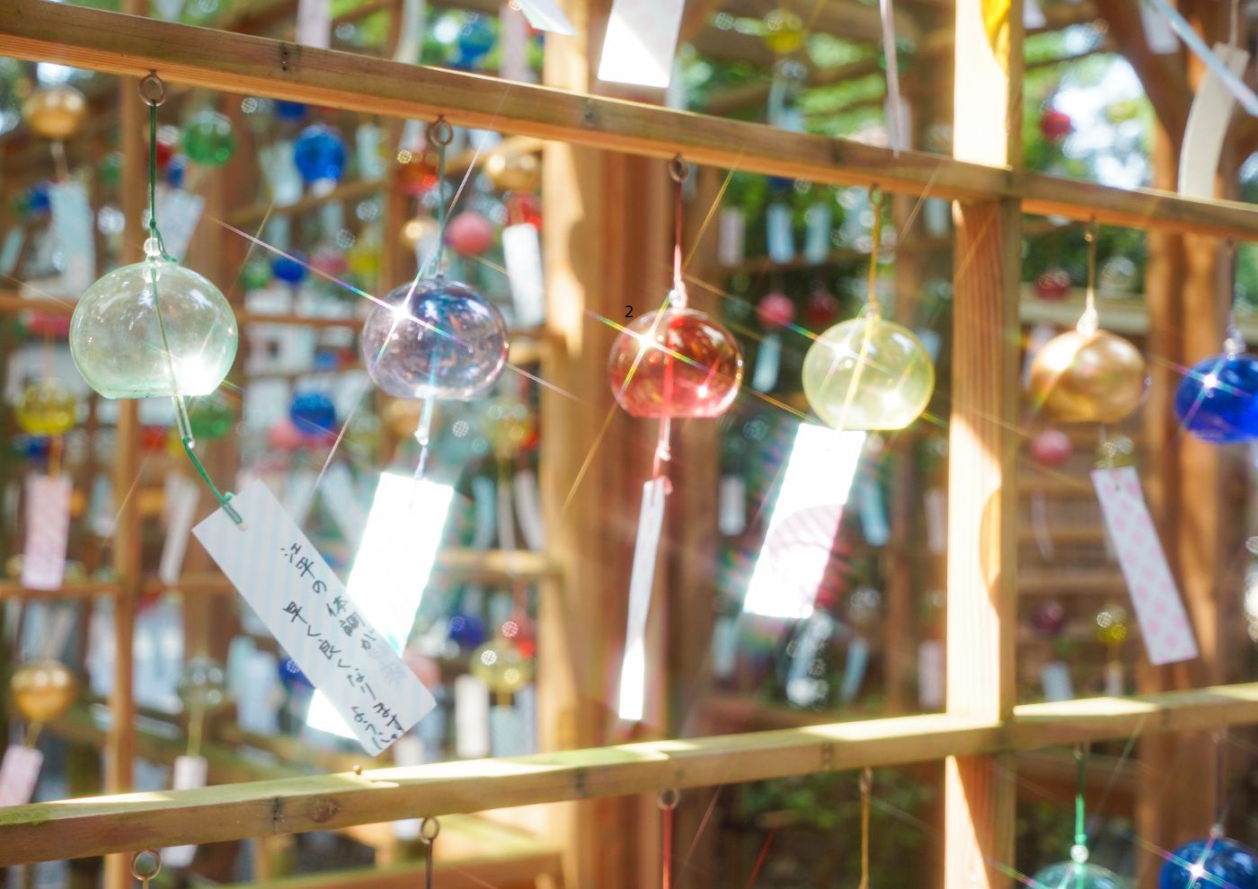 〜新庄での6ヶ月の活動を終えて〜