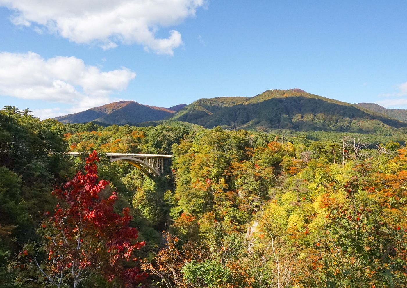 〜新庄での6ヶ月の活動を終えて〜