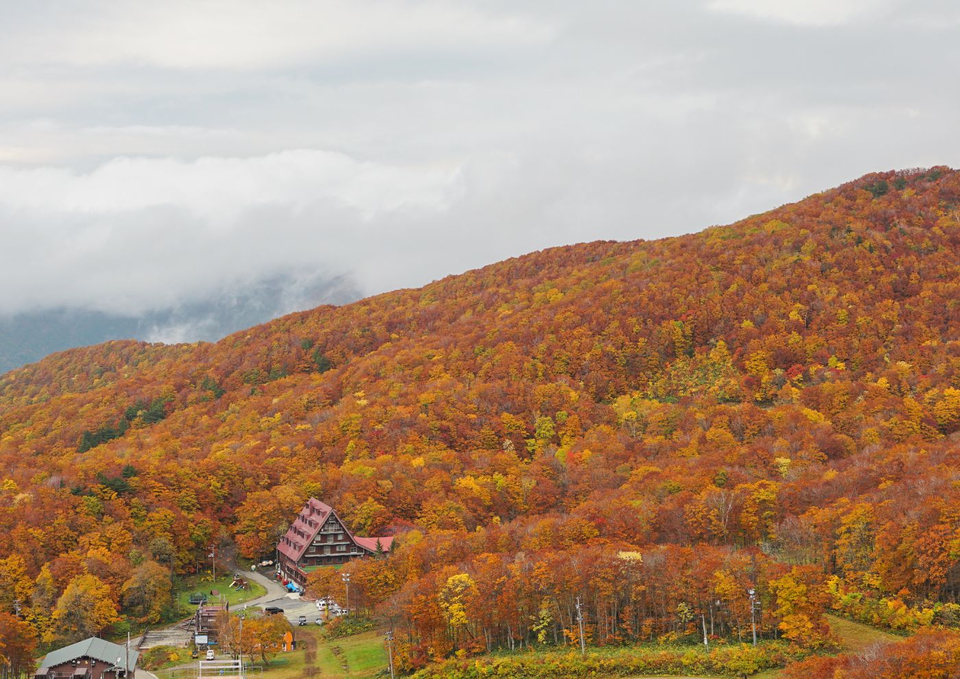 〜新庄での6ヶ月の活動を終えて〜
