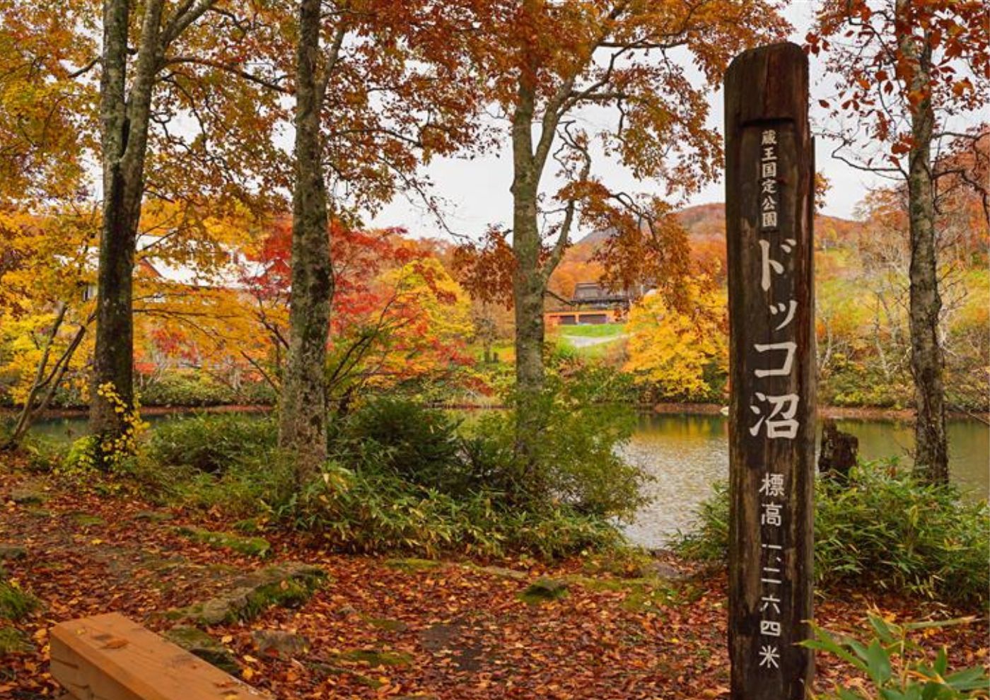 〜新庄での6ヶ月の活動を終えて〜