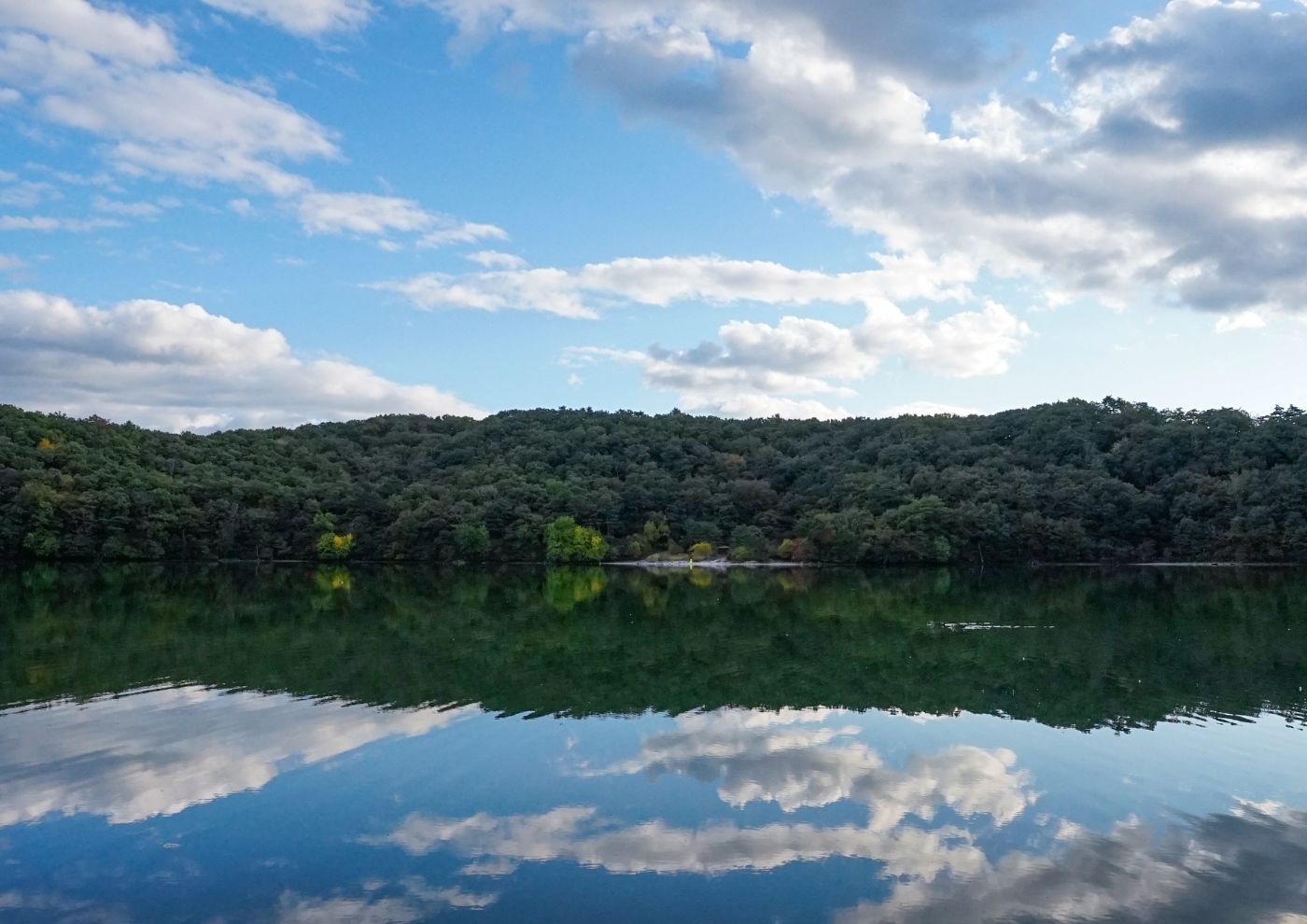 〜新庄での6ヶ月の活動を終えて〜