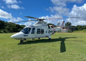 喜界島での半年間の経験