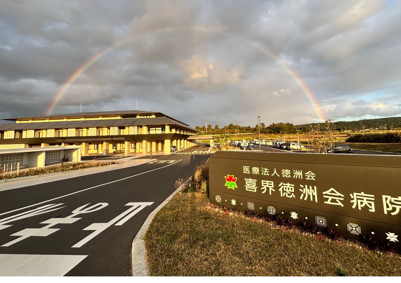 喜界島での半年間の経験