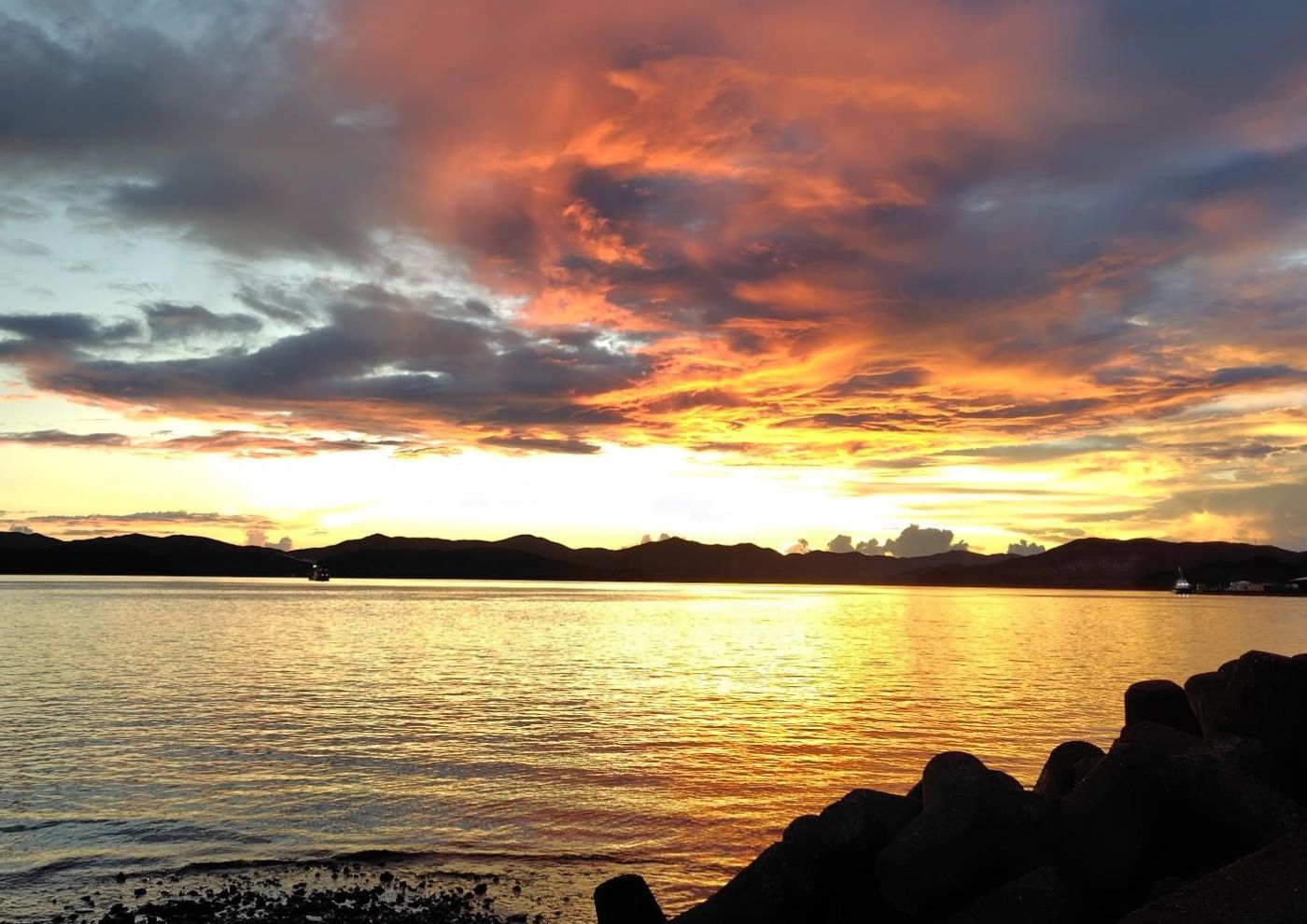 離島医療の現場で学んだ半年間 ― 奄美・瀬戸内での国内活動報告 ― 