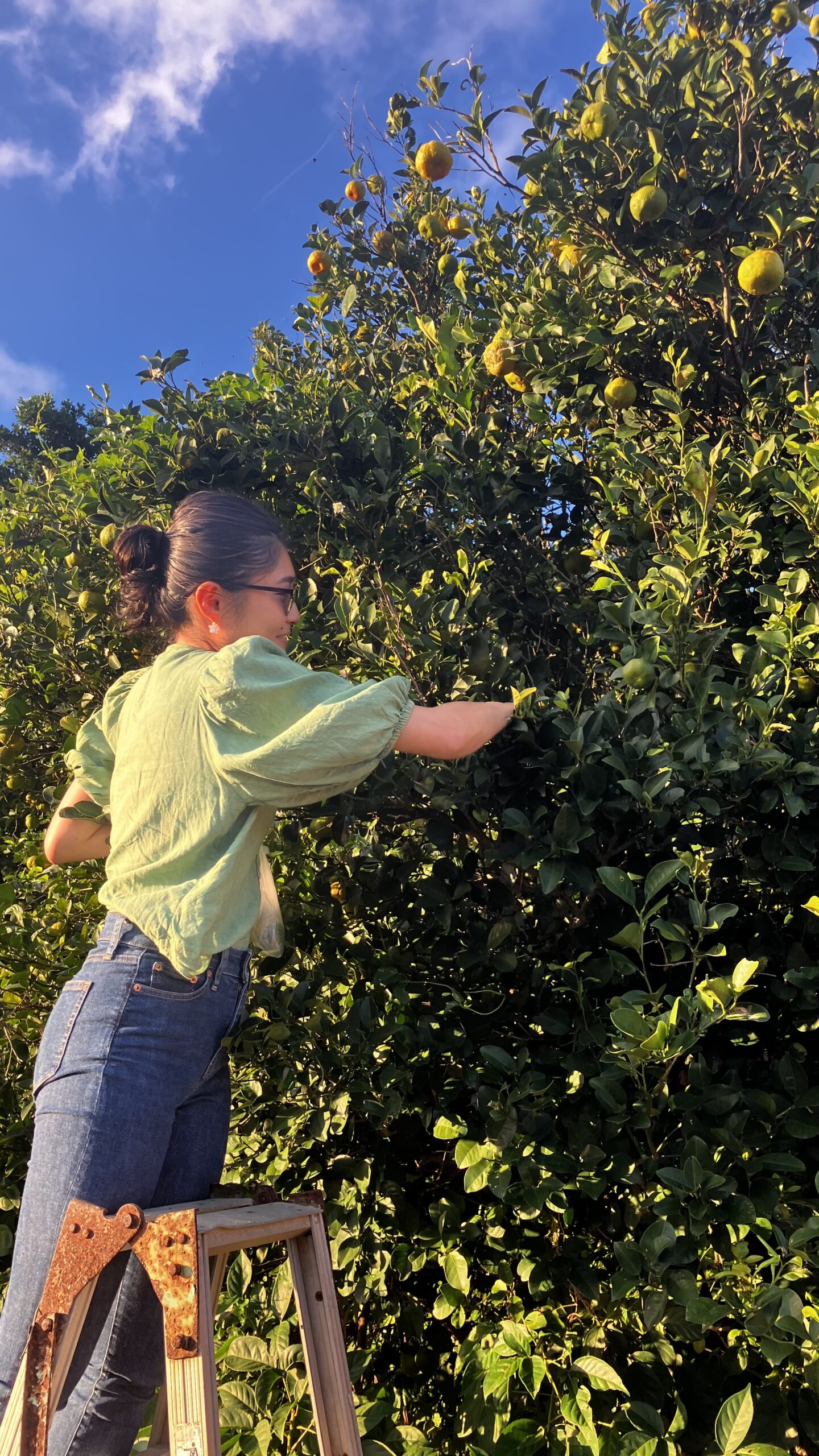 【RIKAjob】助産師として分娩施設のない島で働く魅力～喜界徳洲会病院（助産師歴7年/20代）