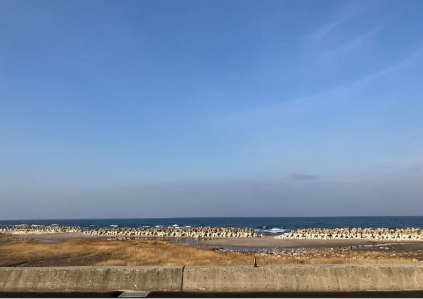 ジャパンハート 【能登半島地震災害支援・対策(iER)】2月おしゃべり喫茶活動レポート