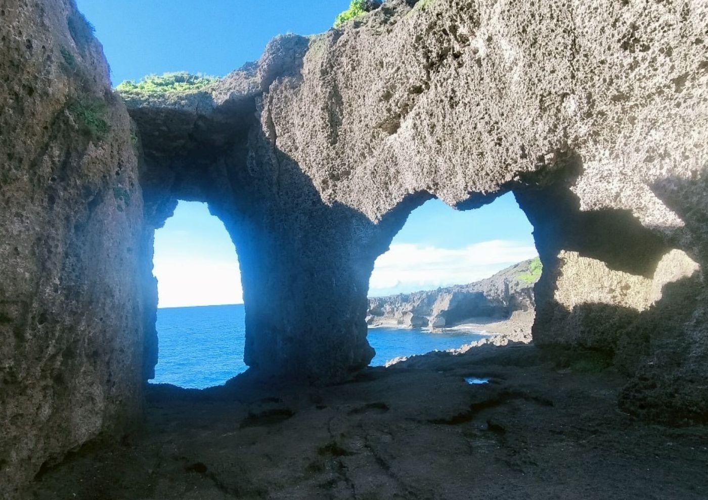 寄り添う看護に出会った島 ― 徳之島での半年間 