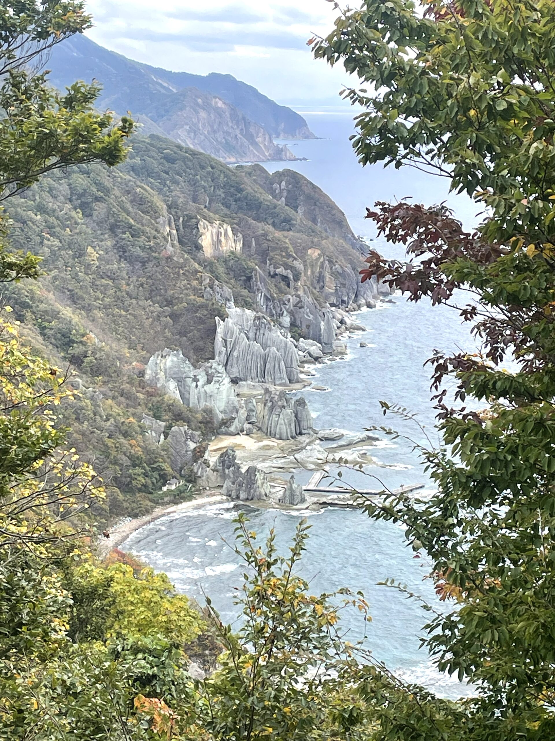 【RIKAjob】へき地医療に取り組む～大間病院（看護師経験25年/50代）